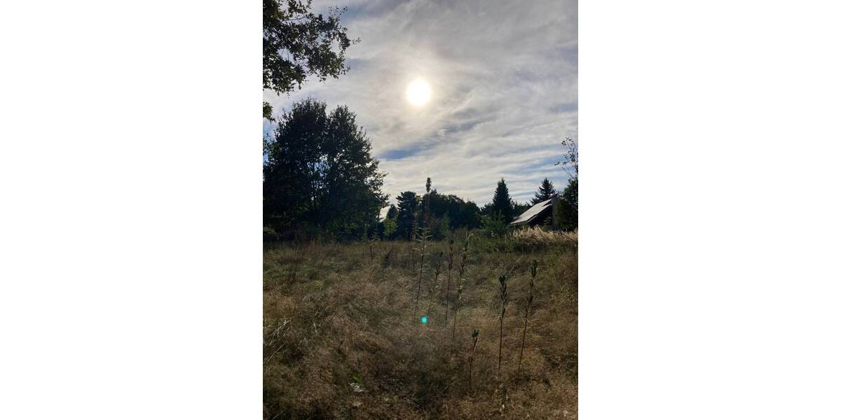 Grundstück Alt Golm / Rietz Neuendorf Alt Golm - 151.000&euro; | Angebot:25671807