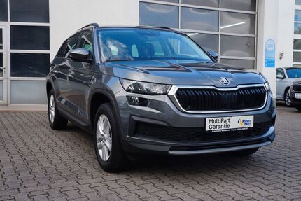 Skoda Kodiaq 102.886 km 23.490 &euro; Hagen 58119