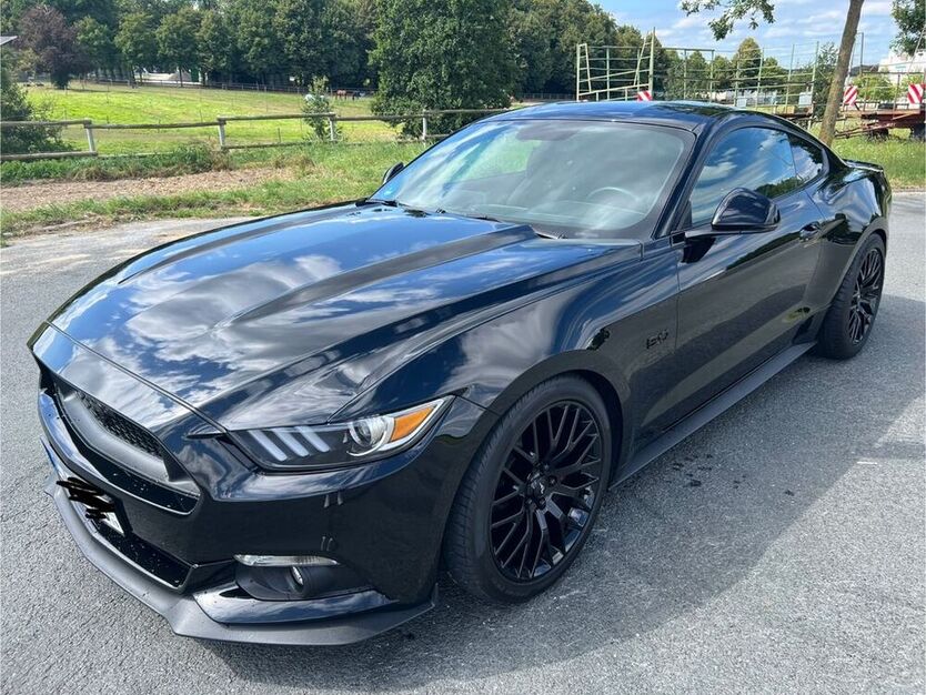 Mustang