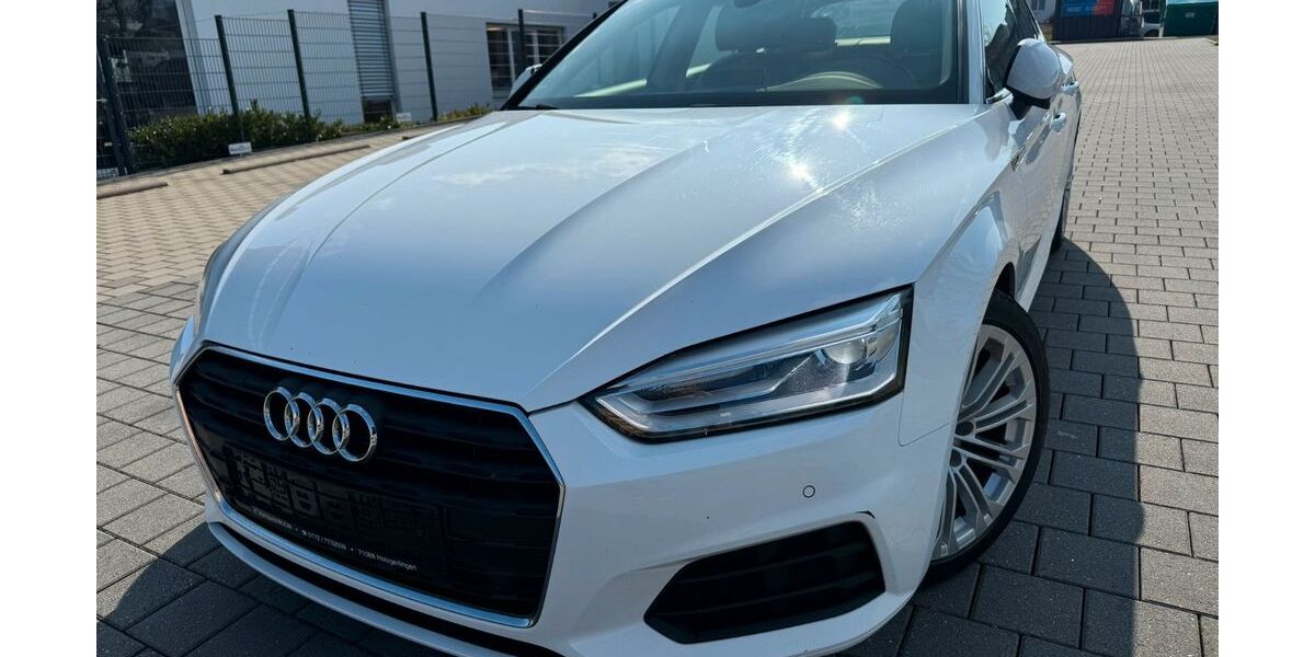 Audi A5 228.000 km 14.980 &euro; Holzgerlingen 71088