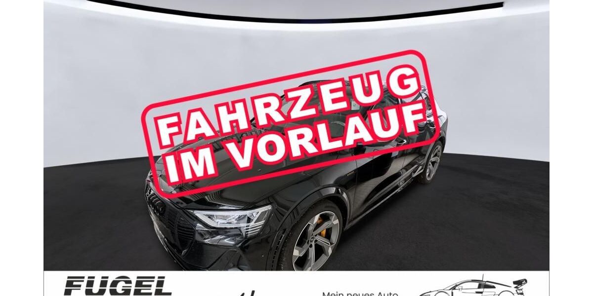 Audi e-tron 79.680 km 40.899 &euro; Chemnitz - Mittelbach 09224