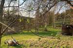 Grundstück Flossenbürg - 170.000&euro; | Angebot:26036735