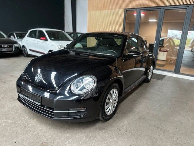 Beetle