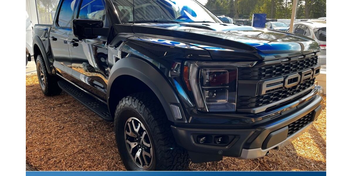 Ford F 150 1.500 km 136.990 &euro; Glauchau 08371