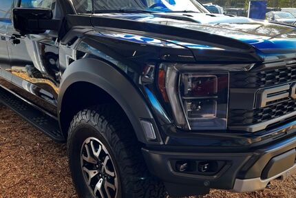 Ford F 150 5.000 km 134.990 &euro; Glauchau 08371