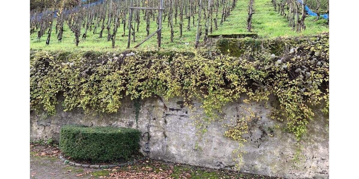 Grundstück Alf - 65.300&euro; | Angebot:25692937