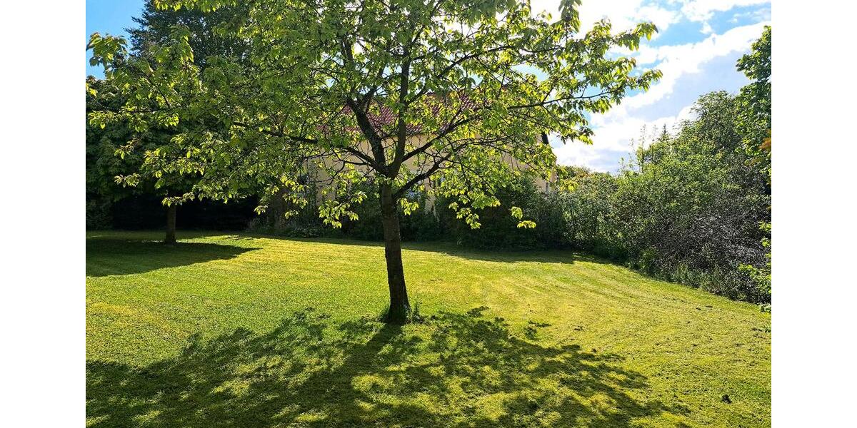 Mehrfamilienhaus, Wohnhaus Hankensbüttel - 12 Zimmer, 220 m&sup2;, 185.000&euro; | Angebot:26875547