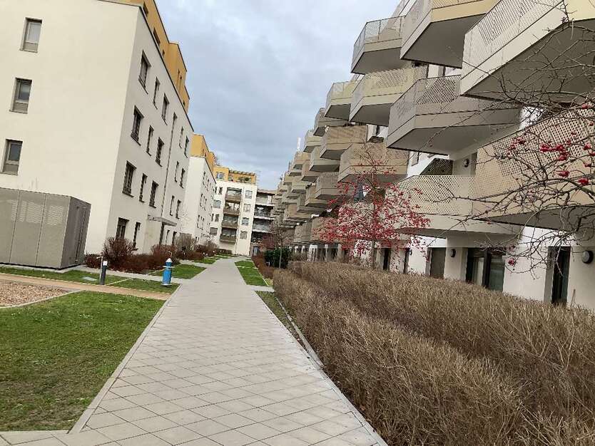 Wohnung zum Mieten in Ludwigshafen 1.315,16 € 97.85 m² 3 zimmer