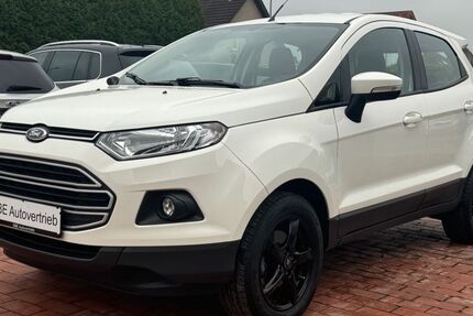 Ford EcoSport 85.000 km 7.500 € Leopoldshöhe 33818