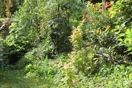 2,5 Z-Whg EG angrenzend an Naherholungsgebiet 2.5 zimmer