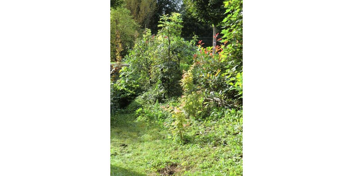 2,5 Z-Whg EG angrenzend an Naherholungsgebiet 2.5 zimmer