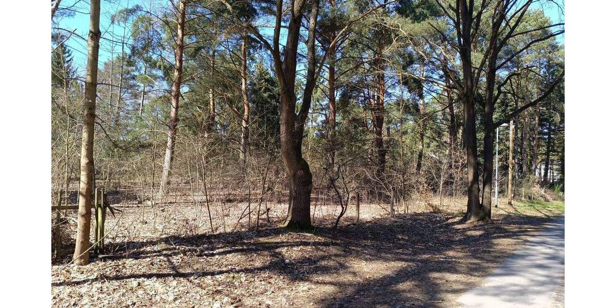 Grundstück Mittenwalde Töpchin - 210.000&euro; | Angebot:25663736