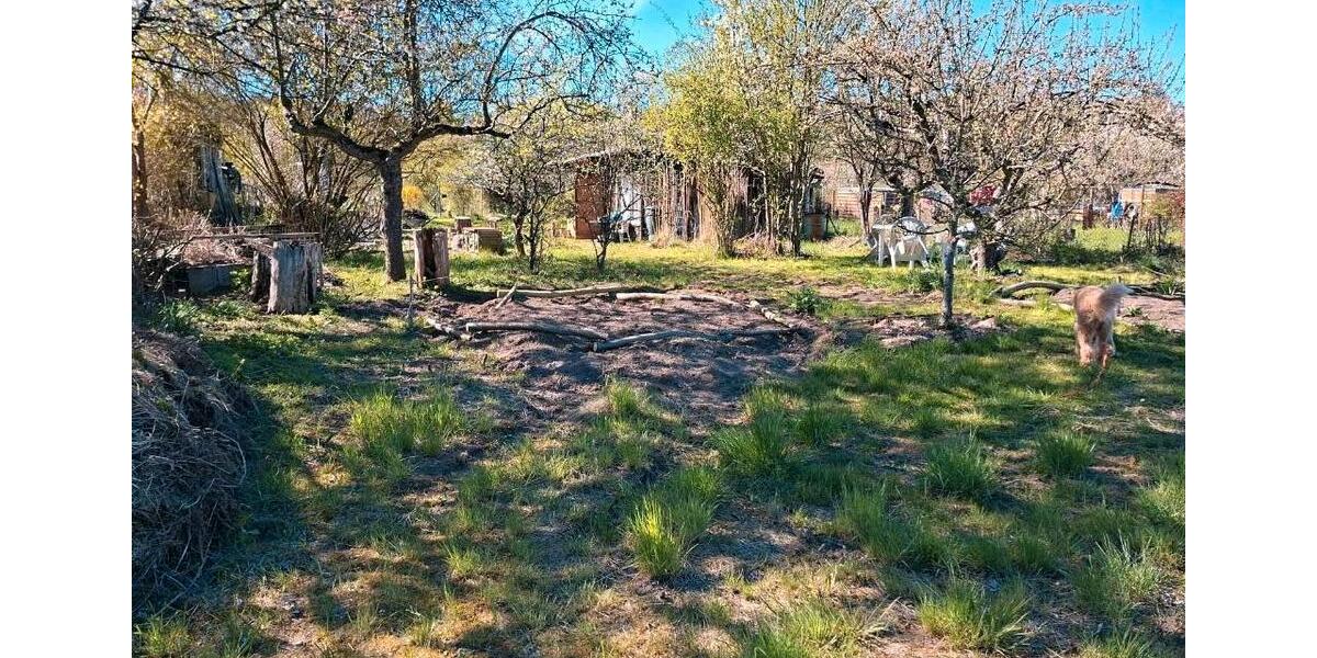Grundstück Neustrelitz - 5.500&euro; | Angebot:26397507