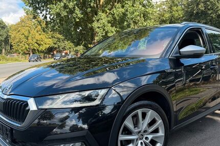 Skoda Octavia 194.000 km 17.490 &euro; Bad Fallingbostel (OT Dorfmark) 29683