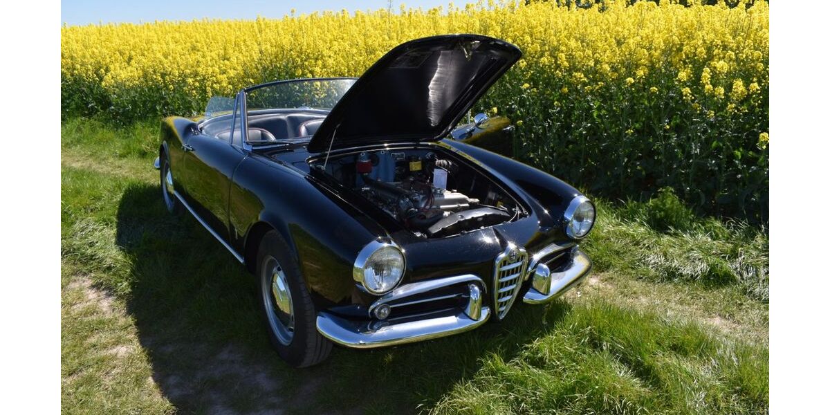 Alfa Romeo Spider 123.456 km 57.000 &euro; Kamen 59174