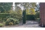 Einfamilienhaus Edemissen - 580.000&euro; | Angebot:27167329