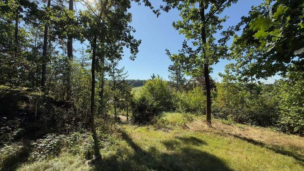 Attraktives Baugrundstück am Tharandter Wald zimmer