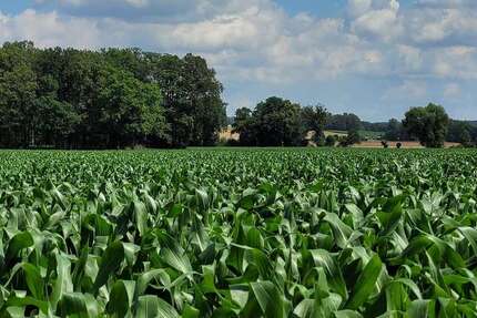 Grundstück Putlitz - 190.000&euro; | Angebot:20906400