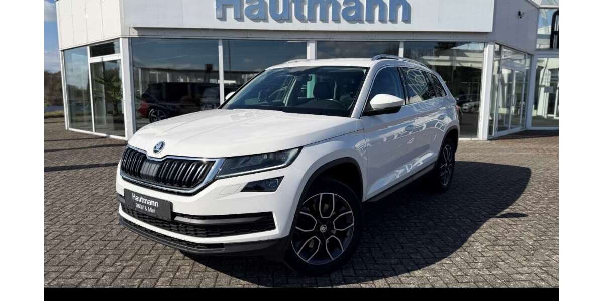 Skoda Kodiaq 116.200 km 24.850 &euro; Cochem 56812