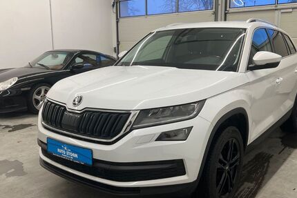 Skoda Kodiaq 192.000 km 17.970 &euro; Landau a.d.Isar 94405