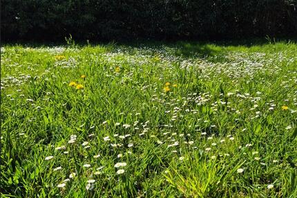Grundsanierte 3 Zimmer-Wohnung mit großem GartenAußengelände