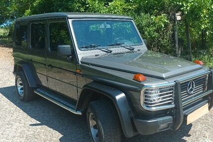Mercedes-Benz G 450 170.000 km 59.900 &euro; Ober-Olm 55270