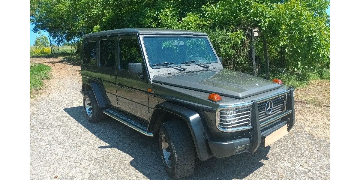 Mercedes-Benz G 450 170.000 km 59.900 &euro; Ober-Olm 55270