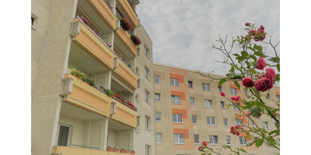 Funktionale 3Raumwohnung am Stadtpark, mit Einbauküche. 2 zimmer