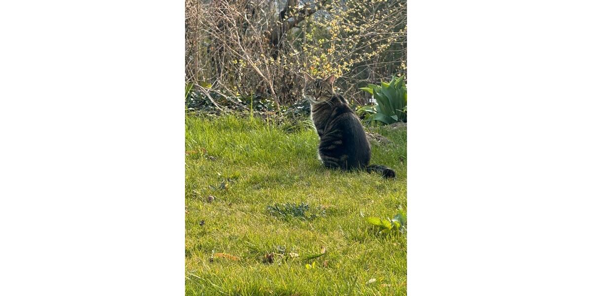 Terrassenwohnung Bad Abbach - 2.5 Zimmer, 80 m&sup2;, 1.250&euro; | Angebot:26044246