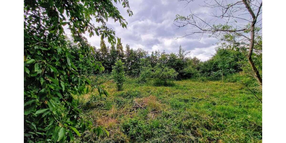 Grundstück zu verkaufen in Landsberg 129.900 € 2418 m² zimmer