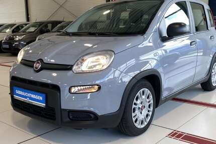 Fiat Panda 12.903 km 11.990 &euro; Buchholz 21244