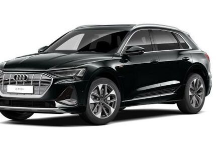Audi e-tron 41.588 km 38.880 &euro; Buergstadt 63927