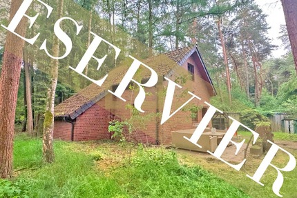 6.503 m² Naturparadies an der Hunte – Wochenendhaus in traumhafter Waldlage - Haus Wildeshausen | Angebot:26801669