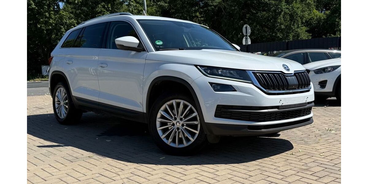 Skoda Kodiaq 330.000 km 13.900 &euro; Neustadt 31535