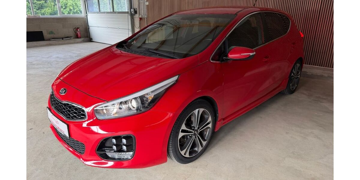 Kia ceed / Ceed 162.405 km 5.999 &euro; Horhausen 56593