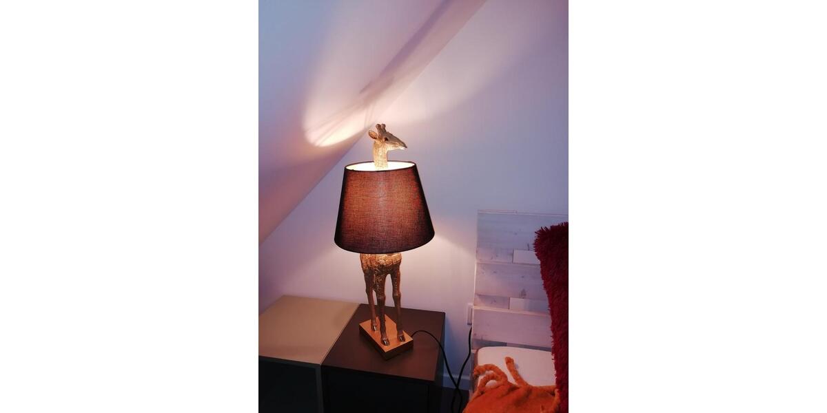 Loft - Studio - Atelier Niederkrüchten - 1.5 Zimmer, 50 m&sup2;, 980&euro; | Angebot:24786767