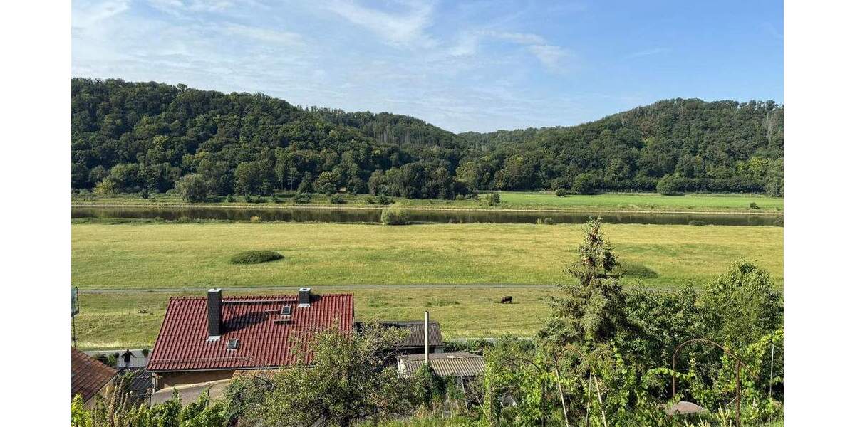 Großzügiges Hanggrundstück mit Altbestand und herrlichem Elbe Blick 5 zimmer
