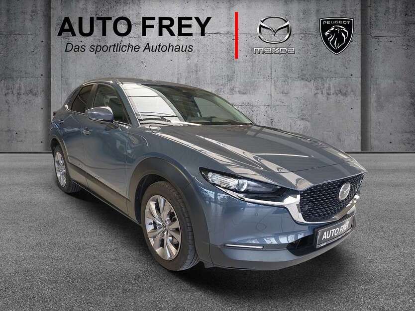 CX-30