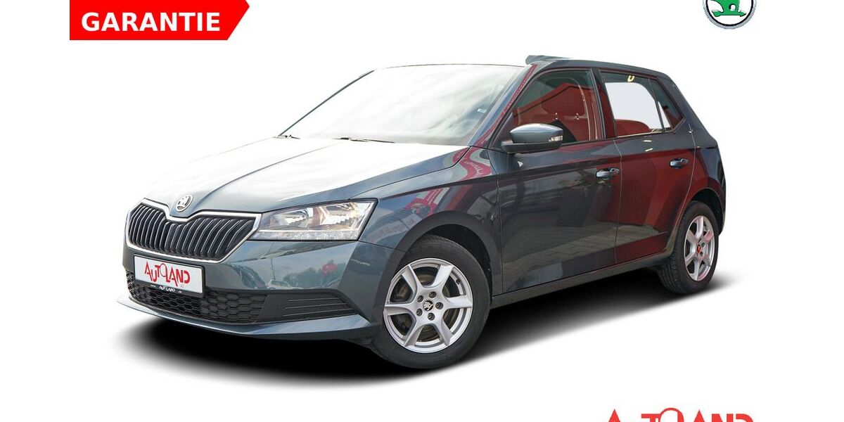 Skoda Fabia 35.189 km 13.990 &euro; Wietmarschen 49835