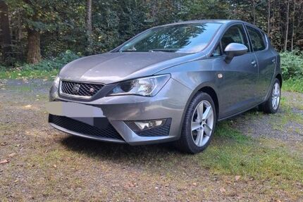 Seat Ibiza 95.000 km 7.200 € Waldthurn 92727