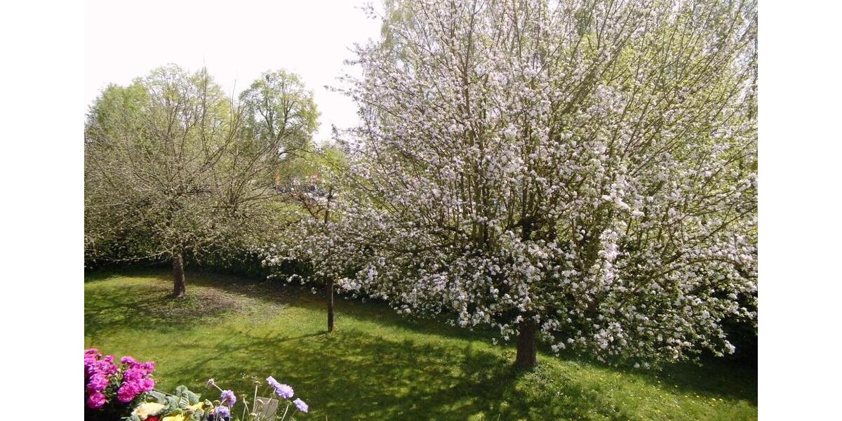 Etagenwohnung Pocking - 1 Zimmer, 35 m&sup2;, 107.000&euro; | Angebot:27189922