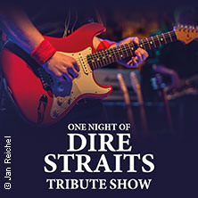 One Night of Dire Straits - Tribute Show 07.02.2026 Stadthalle