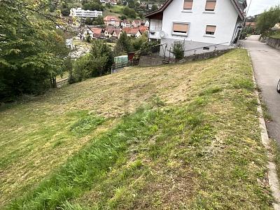 SCHÖNE AUSSICHTEN FÜR EIN GEMEINSAMES ZUHAUSE - Grundstück Weisenbach | Angebot:26340435