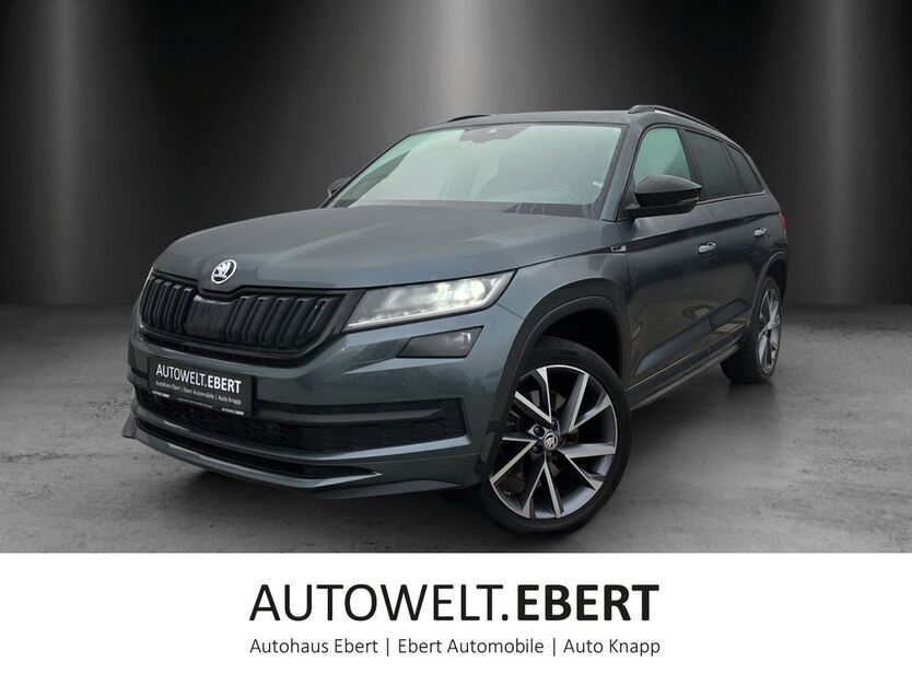 Skoda Kodiaq 65.600 km 37.690 € Weinheim 69469