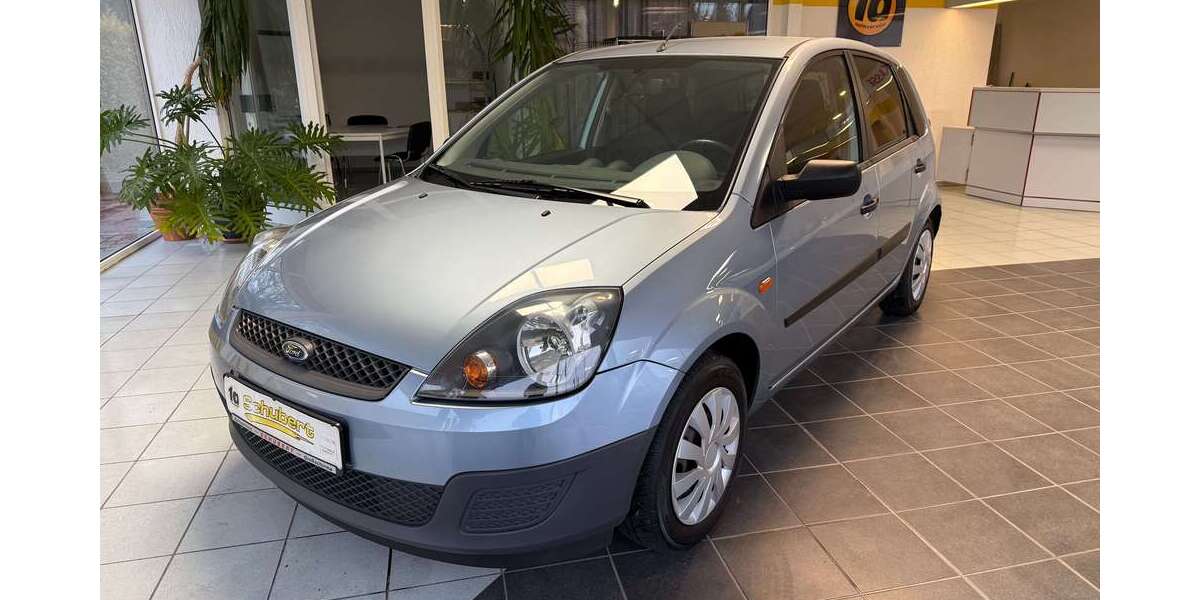 Ford Fiesta 176.166 km 3.599 &euro; Großschirma 09603