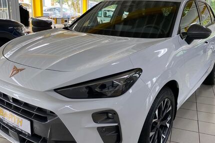 Cupra Terramar 7.900 km 35.990 &euro; Erbach 64711