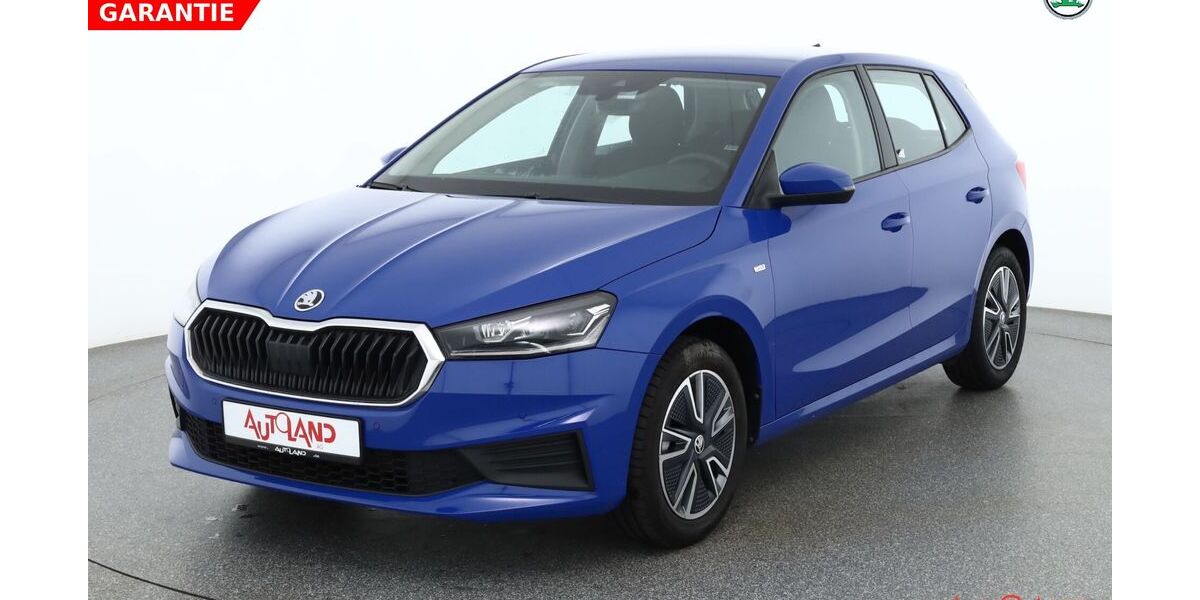 Skoda Fabia 28.779 km 16.990 &euro; Dresden 01239
