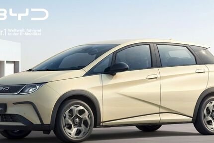 BYD DOLPHIN 1.500 km 28.990 &euro; Erbach 64711