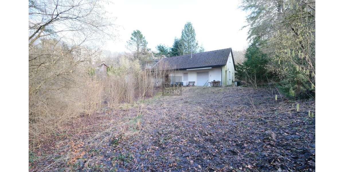 Grundstück Betzenstein - 258.000&euro; | Angebot:25523773