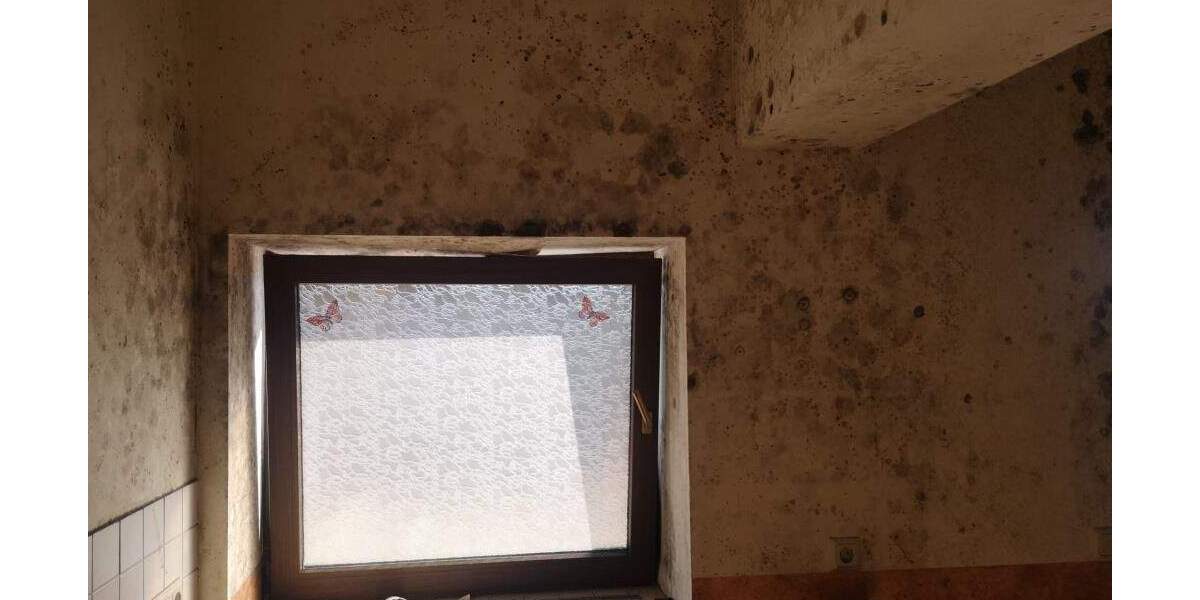 Gewerbeobjekt Brotterode-Trusetal Trusetal - 50.000&euro; | Angebot:25801167